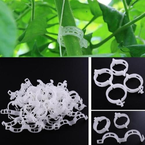 50/100pcs Plastic Plant Clips Supports Connects Reusable Protection Grafting Fixing Tool Gardening Supplies for Vegetable Tomato