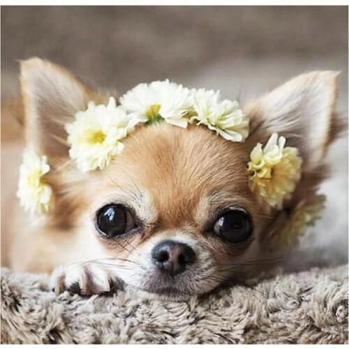 Sale Diamond Embroidery chihuahua dog Diy Diamond Painting Cross Stitch birds Full Square Round Pictures Of RhinestonesZP-300