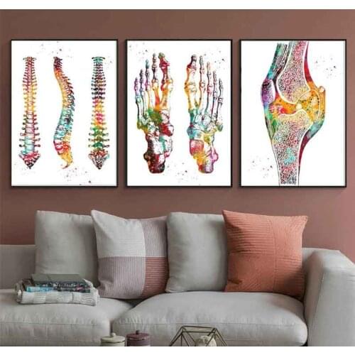 Human Anatomy Muscles System Coloful Wall Art Canvas Painting Posters And Prints Body Map Wall Pictures Medical Home Decor