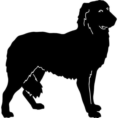 12.7*12.4CM Maremma Sheepdog Dog Animal Window Stickers Personalized Fashion Motorcycle Decorative Accessories C6-0275