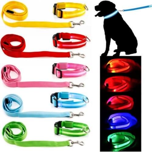 LED dog collar light USB adjustable flashing light lit pet safety collar suitable for small dogs and cats size M