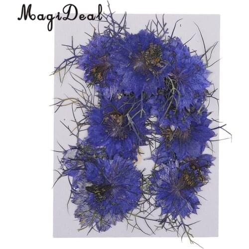 12pcs Love-in-a-mist Natural Pressed Real Dried Flower for Craft DIY Resin Ornaments