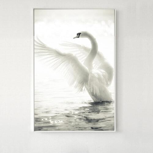 White Love Swan Lake Splash Water Modern Art Canvas Painting Poster Wall Art Pictures Living Room Home Decor Craft Gift