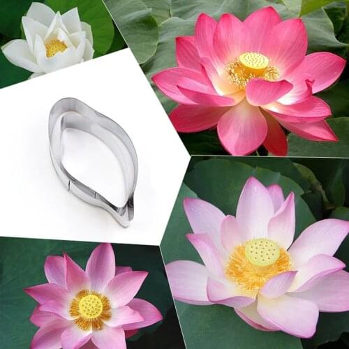 2 Pcs/set Lotus Cutters, Stainless steel Candy Biscuit Jelly Fondant Cookie Cutters, Cake Decorating Tools