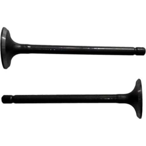 Intake Valve EQ474i.1007012 for DFSK Dongfeng Sokon Light Truck Mini Bus