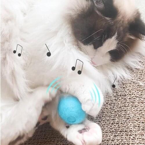 Pet Cat Fidget Toys Interactive Ball Catnip Training Playing Squeaky Ball Eva And Wool Materials Kitten Kitty Cat Accessories