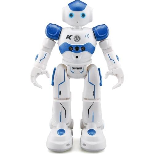 DUALSKY Radio Controlled Robots