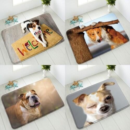 Cute Animals Dog Non-Slip Bathroom Mat Pet Bulldog Bedroom Kitchen Doormat Indoor Floor Mat Absorbent Carpet Washable Home Decor