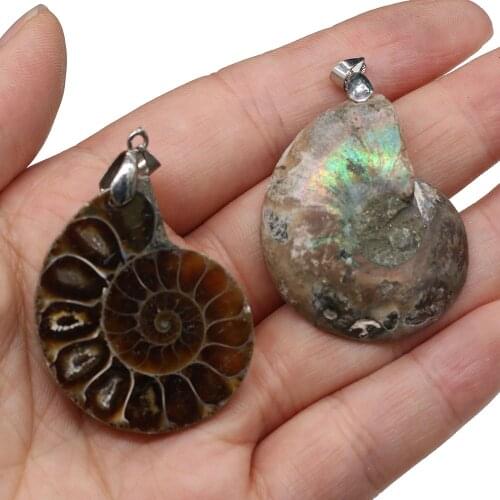 Natural Stone Pendants Nautilus Shell Fossils Ocean Conch Pendants for Charms Necklace Earrings Making DIY Women Jewelry