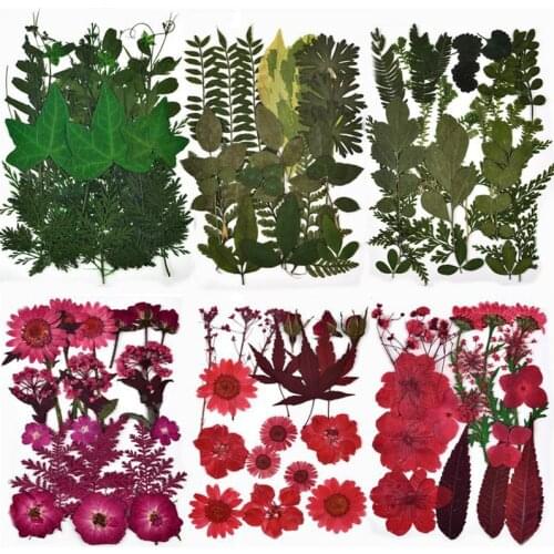 1 Bag Natural Dried Flowers, Green Plants And Leaves, Makeup Accessories, UV Epoxy Resin Filler For Handicraft Home Decoration