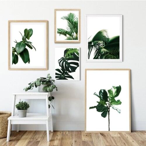 Monstera Palm Leaf Green Plants Nordic Posters and Prints Tropical Botanical Wall Art Pictures Canvas Painting Living Room Decor