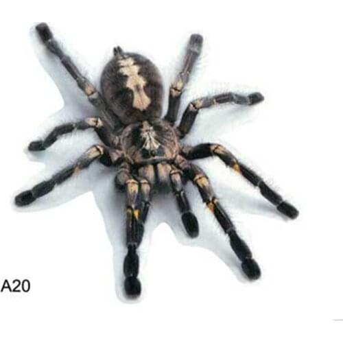 Three-Dimensional Car Spider Gecko Animal Car Stickers Simulation Car Tail Stickers Realistic Modification Stickers