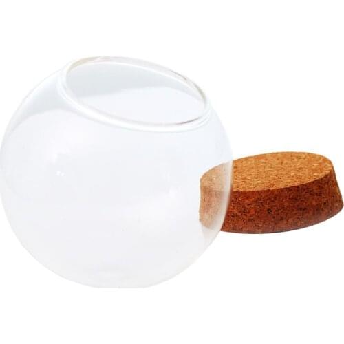 2pcs Hand Blown Glass Egg Shaped Round Bubble Terrarium Glass Globe Cute Miniature Micro Landscape Modern