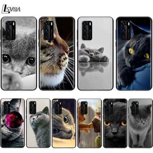 British Shorthair cat For Huawei P Smart Z S Pro Plus 2018 2019 2020 2021 Mate 10 20 30 40 RS PRO Plus Soft lite Phone Case