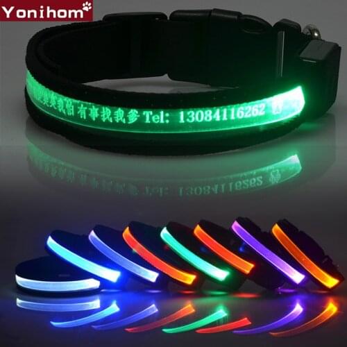 Personalized Dog Collar USB Rechargeable LED Dog Collar Night Safety Luminous Glowing Usb Rechargeable Led Dog Collar Night Walk