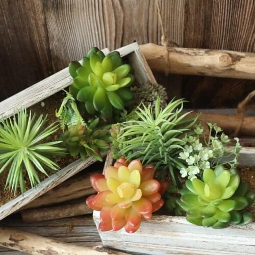 Artificial Succulents Plants Green Purple Red White Blue Flocking Home Garden Decoration Plastic Plants Mini Desktop Bonsai