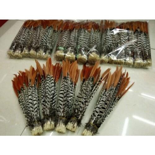 Wholesale perfect 100pcs high quality natural Lady Amherst Pheasant Feathers 10-12inch/25-30cm Decorative diy