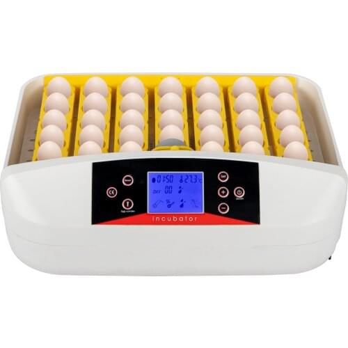 Товары для животных TAILUP China At AliExpress