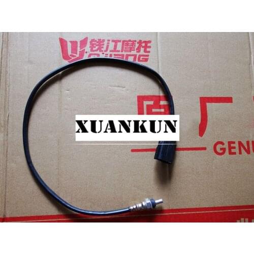 XUANKUN 600BJ600GS/BN600/BJ300 Oxygen Sensor / Exhaust Sensor