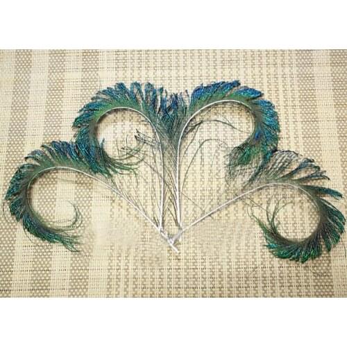 100Pcs/Lot 20-25cm CURLY PEACOCK SWORD FERN FEATHERS-50pcs Left+50 pcs Right Feather .FREESHIPPING