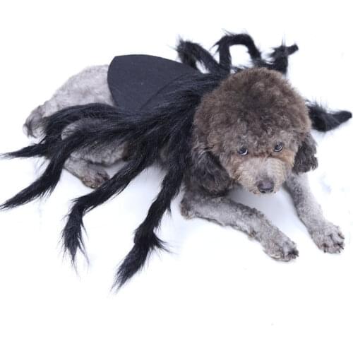 Novelty Halloween Dog Costumes Pet Clothes Black spider wings funny dog cat pet clothes
