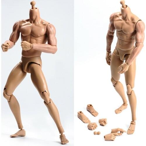 1/6 Scale Male Flexible Muscular Action Figure Body TQ230 With Neck Collectible in stock