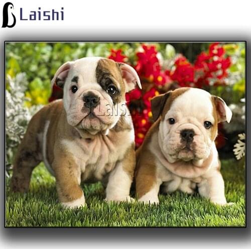 Today’s new, limited-time special offer,cute Two French Bulldog on the grass all-diamond diamond paintings for home decoration