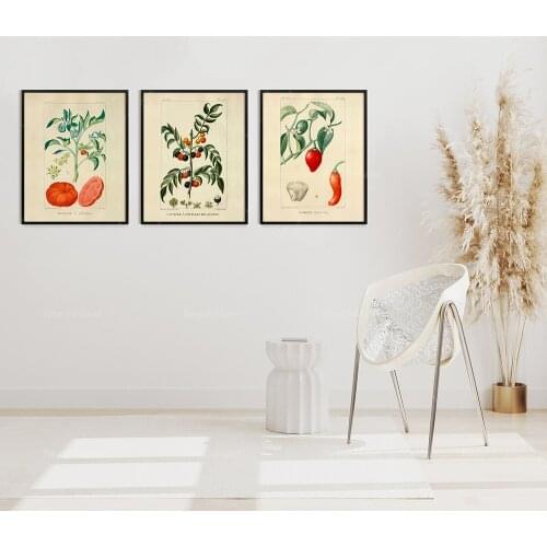 Vintage plant print set, illustration by Jean-Théodore Descourtilz, French Tomate, pepper, 3 sets of Giclée prints