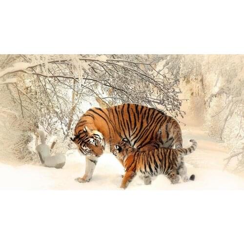Tiger Cub Art Film Print Silk Poster Home Wall Decor 24x36inch