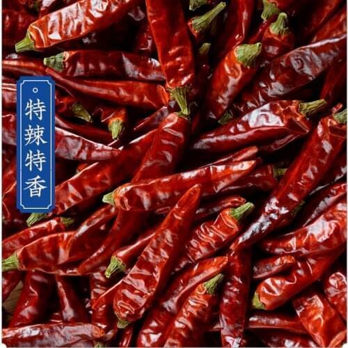 Sichuan Millet Spicy ，Wholesale price