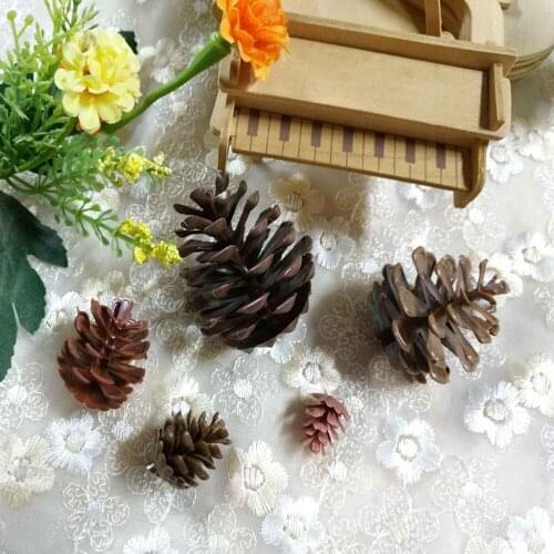 30 Pieces Mini Small Natural Plsctic Pine Cones In bulk Flowers For Christmas Tree Decoration Hanging Ornament or Crafting