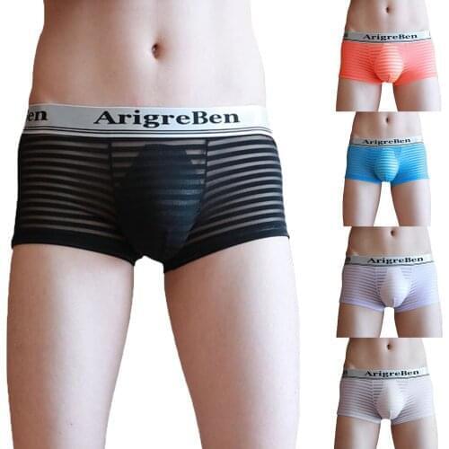 Y25 Mens Shorts Ice Silk Comfort Breathable Underpants Mesh Long Leg Brief Viscose Underwear For Men Pants Innerwear Gift