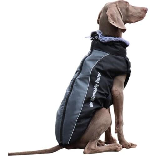 Dogs Autumn Winter Jacket 2 In 1 Warm Detachable Harness Pets Coat With Fur Collar Windproof Reflective Zipper Dog Costumes