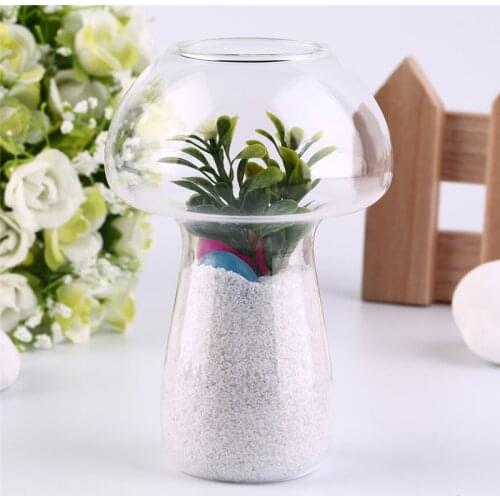 SOLEDI Glass Flower Vases