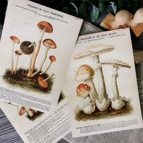 A5 European and American distressed mushroom plant illustration material paper DIY scrapbook album happy plan decorative paper