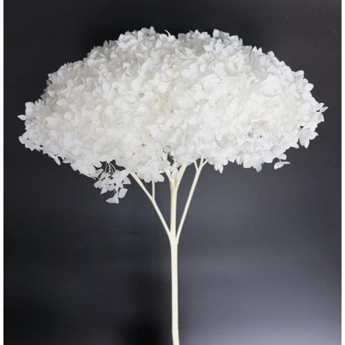 Real Natural Fresh Preserved Hydrangea Branch, Eternal Life Flower Head For DIY Gift Box Wedding Party Hoom Home Decoration