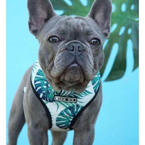 Dog Harness Cooling Vest and Leash Set For French Bulldog Chihuahua Dogs Leashes Pug Puppy Pet Harness Vest Walking