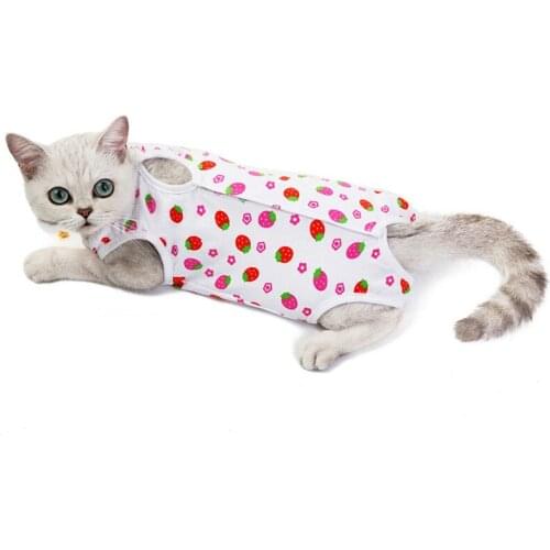 Soft Cotton Puppy Dog Diapers Female Pet Physiological Pants Underwear Cat Diaper Girl Dog Sanitary Panties Dog Clothes Shorts