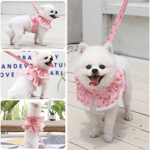 1.2M Pet Leash Harness Set Dog Chain for Small Cat Dogs Out Walk Dog Leash Vest Cute Flower Puppy Princess Dress Pet Supplies