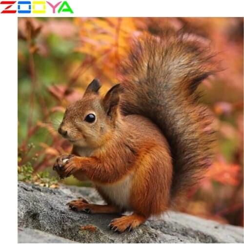 5D Diamond Painting Full Diamond Cross Embroidery Embroidery Animal Squirrel Forest Animal Picture Mosaic Diamond Painting Sp419