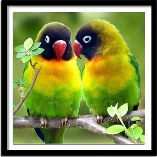 Diamant painting diamond painting full square Diamond embroidery animals bird diamond round buDD 5d diyha 673DD 5d diy