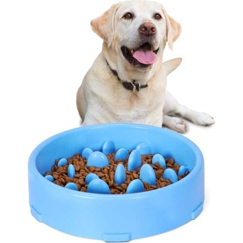 Dog Slow Feeder Bowl Anti-Gulping Pet Slower Food Feeding Dishes Durable Preventing Choking Healthy Design Dogs Bowl