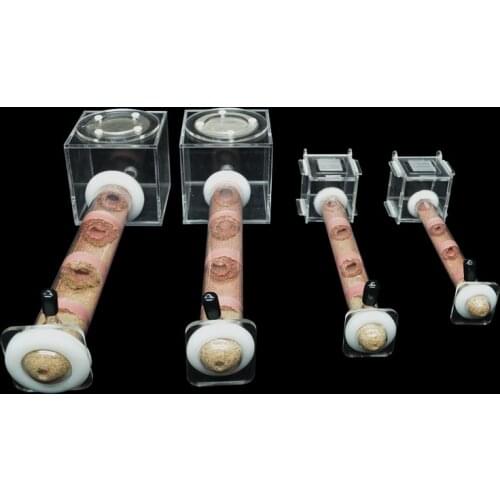 Ants farm bamboo test tube nest DIY Ant House with Feeding area Insect Workshop Pet Anthill Various sizes 15mm 18mm 25mm 30mm