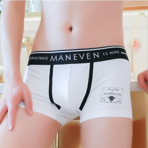 New Male Cotton Boxer Shorts Print Soft Home Men Dress Breathable Underwear Panties