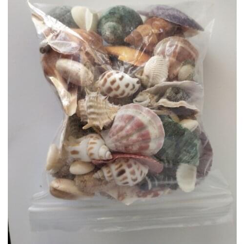 120PCS Mixed conch Ocean Sea shells Wedding Decor Beach Theme Party, Seasecorations, Fish Tank,Candle Makinghells Home