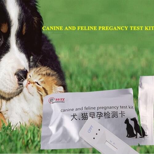 Pregancy Test Kit Canine Feline Paper Strip Pregnancy Disposable Cat Dog Pets Medical Equipment Dogs Perros Mascotas Accesorios
