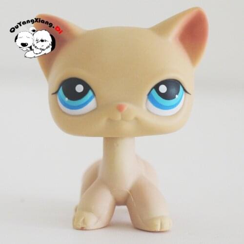 CWM076 Pet Shop Animal Golden Light yellow round eye kitten doll action Figure