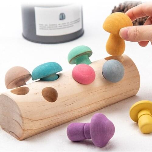 Wooden Mushrooms Matching 3D Puzzle Kids Toy Montessori Materials Educational Toys for Children Funny Development Learning Toys