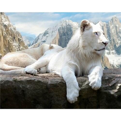 3D DIY Diamond Painting Crystal Girl Square Needlework Diamond Embroidery Lion Cross Stitch Mosaic Pattern Decor Painting A5594R