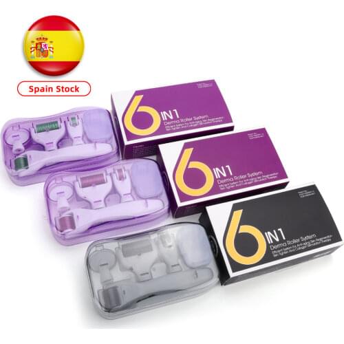 6 in 1 Microneedle Derma Roller Kit for Face and Body 300/720/1200 Titanium Dermaroller Micro Needle Facial Roller Skin Care